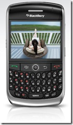 blackberry curve_8900_index