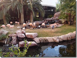 Flamingo Hotel
