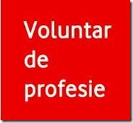 vodafone voluntar de profesie