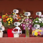 Prima florarie digitala de la metrou din Romania_02 Prima florarie digitala de la metrou din Romania_02