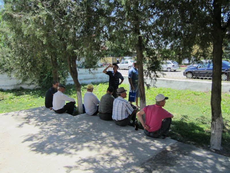 Tortoman Constanta Tortoman Constanta