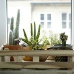 IKEA sustenabilitate