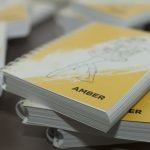 Amber studio productie jocuri romania