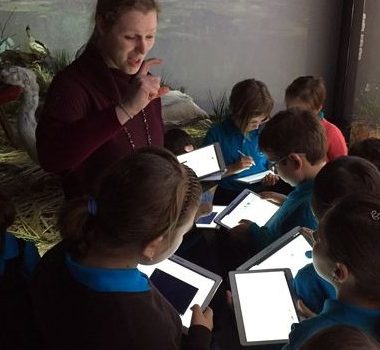 elevi samsung lectie interactiva