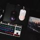 mouse