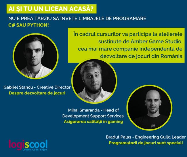 cursuri programare
